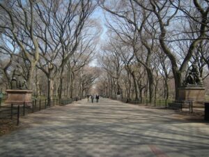 15.0327.SMMallat CentralPark NYC