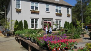 15.0417.SecretGarden