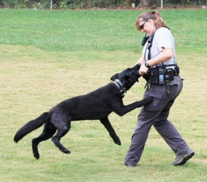 Officer Misty Howell and K-9 Alf with the Duluth Police Department celebrate after Alf successfully found evidence during a training demonstration.
