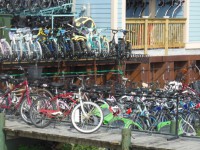 MYSTERY:  A lot of bicycles!