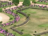 MYSTERY: Beautiful, detailed formal garden