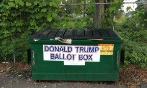 15.1016.TrumpBallotBox