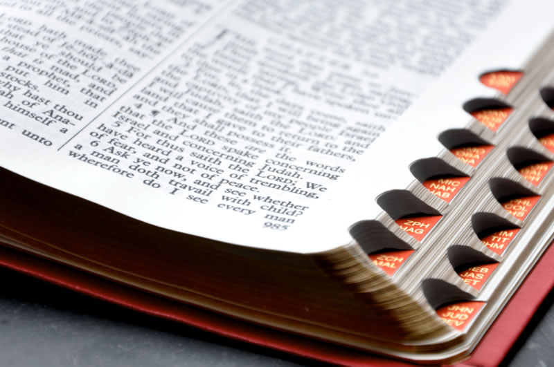 Gwinnett Forum – FOCUS: Baptist Sword Drill imprints Bible verses on  children's minds