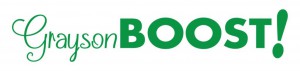 16.0216.Boost Logo