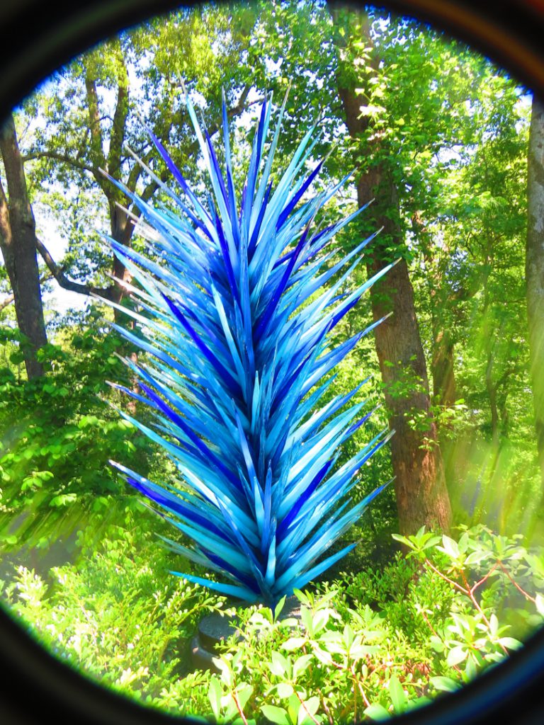 Indigo Blue Shot with HDR