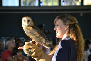 Jenny Kvapil from Bear Hollow Zoo in Athens shows guests a barn owl at last year’s Creatures of the Night Festival at the Environmental and Heritage Center.