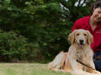 FOCUS: Truth ministry has special partner in 72-pound golden retriever