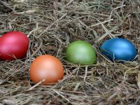 Gwinnett-area Easter Egg hunts