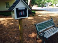 Little Free Library, Peachtree Corners