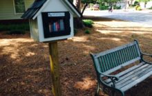 Little Free Library, Peachtree Corners