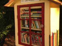 Little Free Library, Lilburn