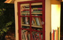Little Free Library, Lilburn