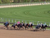 BRACK: Bet on a political race? Would have better chance on a horse race