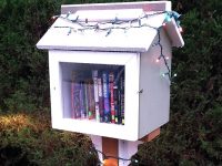 Little Free Library, Duluth