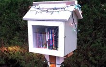 Little Free Library, Duluth