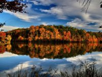 MYSTERY PHOTO: Check out this beautiful autumn nature photo