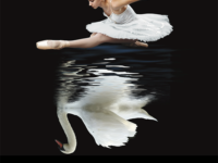 FOCUS: Swan Queen ballet returns to Buford’s Sylvia Beard Theater