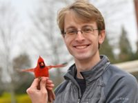 GGC student Ryan Davenport with one of the banded birds, this beautiful cardinal.