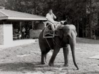The 1985 Lilburn Daze featured elephant riding. Photos provided.