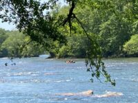 BRACK: Get out and relax along  the Chattahoochee River