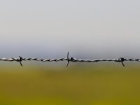 BRACK: Early way to get electricity to Gwinnett homes: barbed wire!