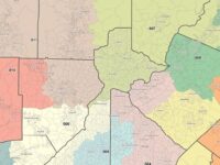 The latest map puts Gwinnett in four congressional districts.