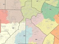 Click here to see the full metro Atlanta congressional map.