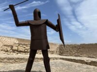 MYSTERY PHOTO: ​This  iron-clad warrior is ready for a fight